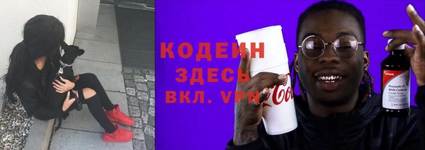 прущие грибы Бородино