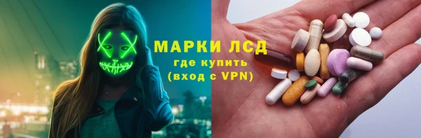 прущие грибы Бородино