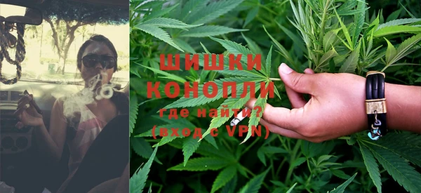 прущие грибы Бородино