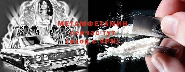прущие грибы Бородино
