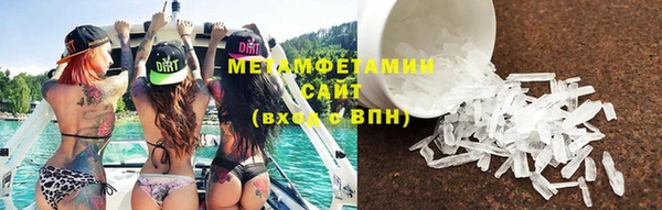 прущие грибы Бородино