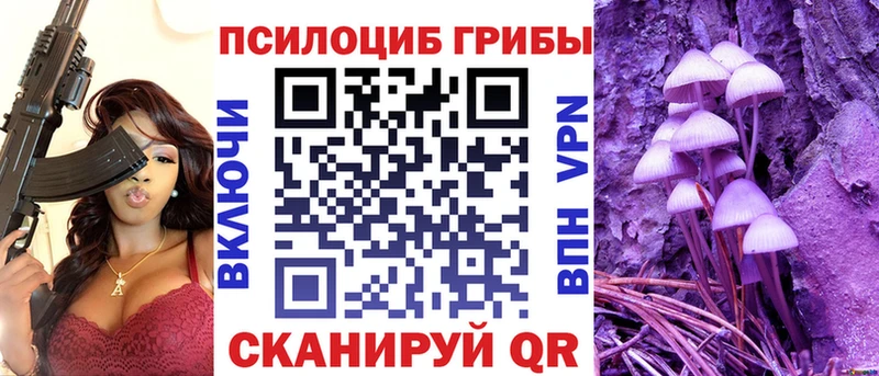Галлюциногенные грибы Psilocybine cubensis  цены   Тимашёвск 
